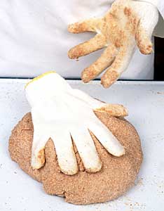 bread comes to life