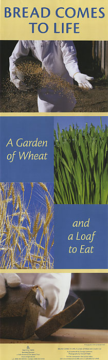 Bread Comes to Life book