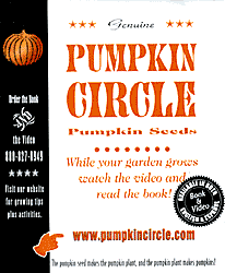 Pumpkin Seeds